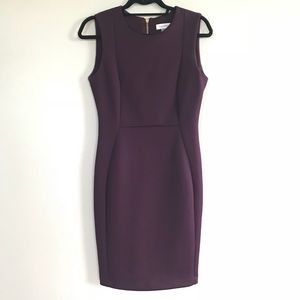 Calvin Klein Plum Sheath Dress